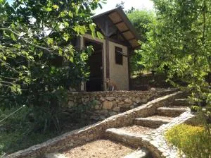 布桑加背包客旅馆 - Minuit