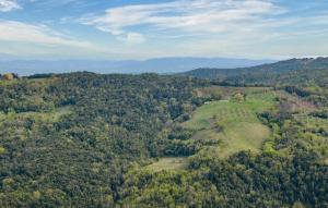 Nice Home In Roccastrada