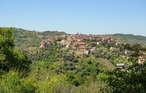 Cera Una Volta In Mlaterone