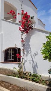 Pitty House Sardegna img16