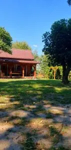 W Zaciszu Czarnego Lasu - Majdanzahorodyński