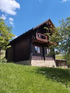 Котедж Славний гуцул & СПА чани джакузі - 亚布卢尼齐亚