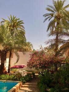 Le Garden Ghardaia