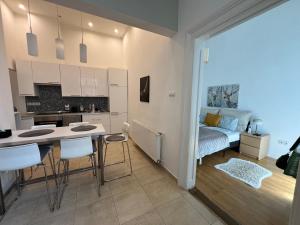 Spacious Apartment by Opera- 2 BR- 2 Bath- AC