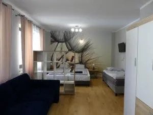 Apartament Centrum - 巴拉诺夫桑多米尔斯基