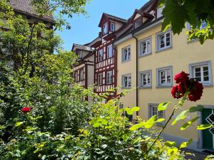 Mainaublick - TraumSeesicht mit Terrasse