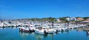 Le cottage de Moune - Au bord de locéan