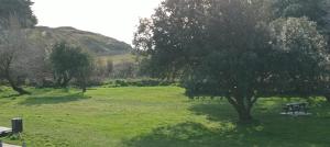 Appartements Appartement vue mer exceptionnelle a 100m tres belle plage : photos des chambres