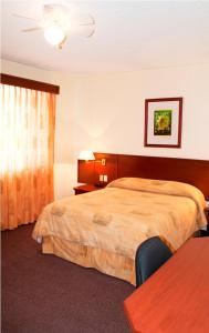 Hotel Marcella Clase Ejecutiva