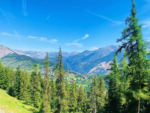 Appartements Beautiful central 2 bedrooms apartment in Auron : photos des chambres