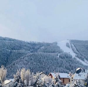 Appartements Beautiful central 2 bedrooms apartment in Auron : photos des chambres