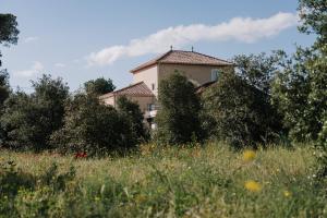 Maisons de vacances Gite Familial au coeur des vignes : photos des chambres