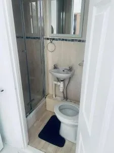 KingBedStudio-Parking-SouthLondon-TownCentre - 米查姆