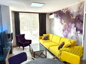 Apartman Monti Vlašić - 弗拉西克