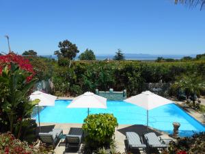 Roosboom Guest Apartments, Apartmány - Somerset West