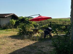 Chez Benoit, séjour Zen, chambre damis