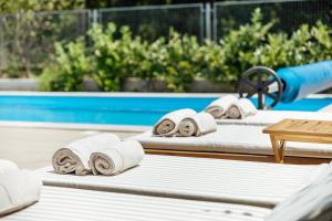 Adorable family villa with swimming pool and olive garden