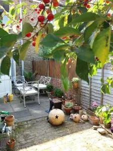 Cosy London double room near Wimbledon - 米查姆