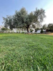 Casa con giardino vicino al mare img10