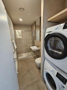 Byt K21 Na Perštýně