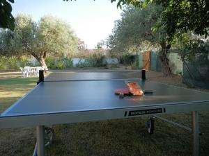 Casa con giardino vicino al mare img13