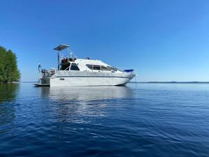 Tyylikäs jahti Vääksyn kanavan lähellä