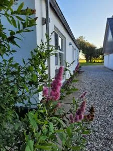 Vakantiewoning Denemarken - Hobro