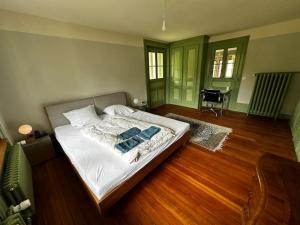 Zentrumsnahes, stilvolles Apartment nahe Bern-Bahnhof