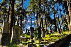 Cabaña Flores de la Montaña