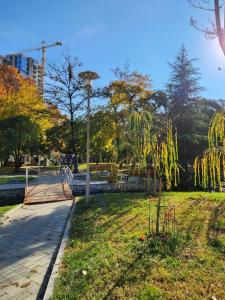 M2 Complex near City Mall with City View in City Center