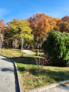 M2 Complex near City Mall with City View in City Center