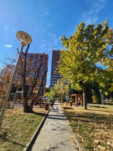 M2 Complex near City Mall with City View in City Center