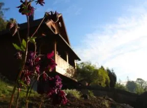 Chata Johanka - Študlov