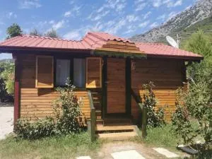 Eden Garden Olive House - Kumluca