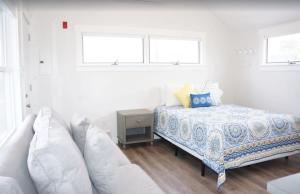 Fresh and Crisp Pet Friendly Studio