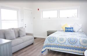 Fresh and Crisp Pet Friendly Studio