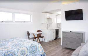 Fresh and Crisp Pet Friendly Studio