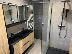 Appartements Sauna et SPA en rez-de-jardin au pied de la montagne : photos des chambres