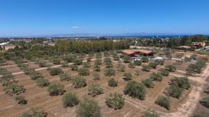 Agriturismo Corte degli Ulivi img64