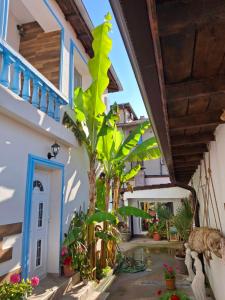 Вила Оазис Сарай - Царево