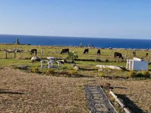 Wild Coast Grosvenor Holiday Home - Port St Johns