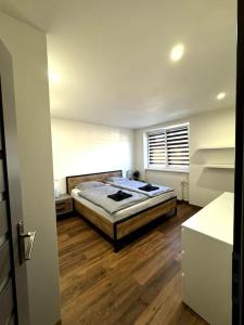 Modern apartment in city centre