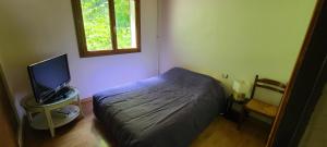Chalets Chalet L'Arbizon Campan : photos des chambres
