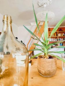 Apartmento SOMA Aljezur