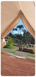 Glamping - Combarbalá