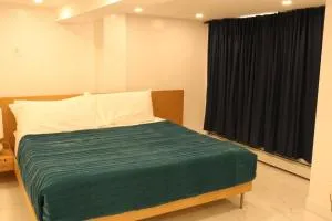 Luxury king bed parking & washer - Schenectady