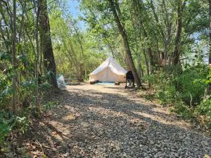 #Y2 Sage & Wildflower Yurt - Драмгеллер