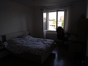 Appartements Maison cadre paisible proche lac et 20 mn GENEVE a MINZIER : photos des chambres