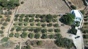 Maison Grecque Style Hacienda