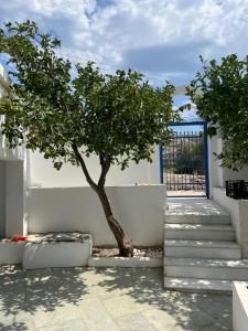 Maison Grecque Style Hacienda